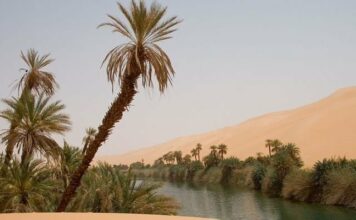 Pénurie d’eau : les Nations Unies alarmistes