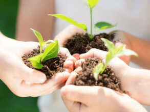 Fondation OCP : plus de 265 projets réalisés en 2022