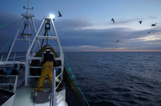 Pêche maritime : stagnation de l’investissement dans le PLF 2022