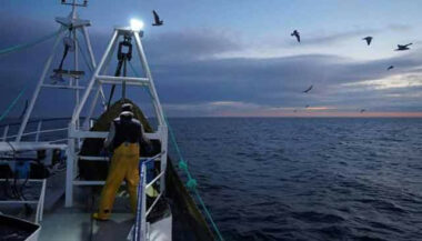 Produits de la mer: hausse des exportations à fin septembre