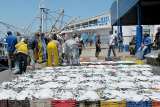 Les marins-pêcheurs s’élèvent contre un projet de loi qui autorise les étrangers à travailler dans le secteur