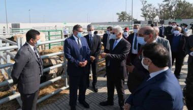 Inauguration d’un marché moderne à bestiaux à Sidi Bennour