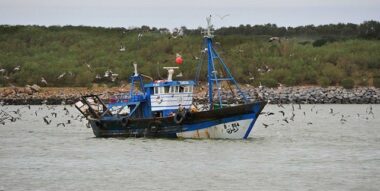 Les agents maritimes rencontrent l’ANP pour essayer de sauver le port de Kénitra