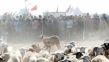 Tiznit accueille son 3e Salon des parcours pastoraux