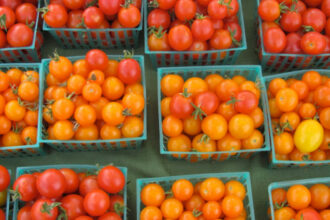 Exportation des produits agro-alimentaires: la campagne s'annonce &ldquo;prometteuse&rdquo;
