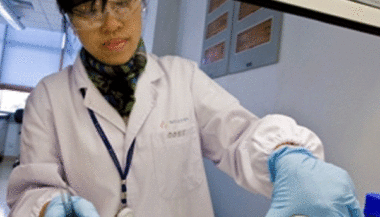 Des scientifiques chinois ont créé un virus pandémique, la communauté scientifique est alarmée