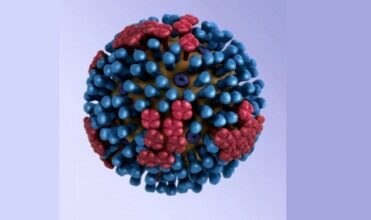 Décès par une grippe A H1N1 au Maroc: faut-il s'inquiéter?