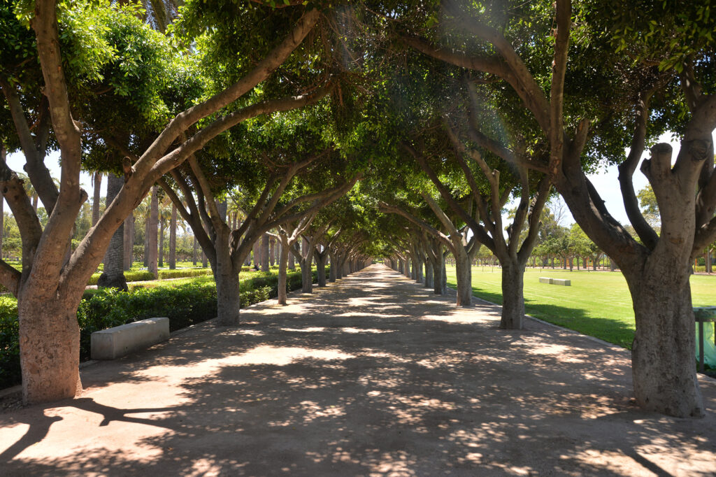 Casablanca : ouverture des portes du parc de la Ligue Arabe ce mercredi