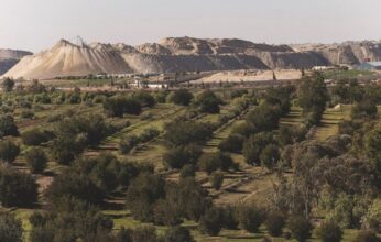 Amélioration de la biodiversité: 4,5 millions d’arbres plantés par OCP à fin 2020