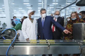 Conserves de poisson : Malgré l’éternel problème d’approvisionnement, l’investissement ne décroche pas