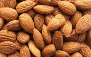 Conjoncture amère pour les producteurs d’amandes douces