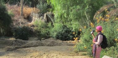 « Résonances oasiennes », un ouvrage qui décortique la singularité des oasis