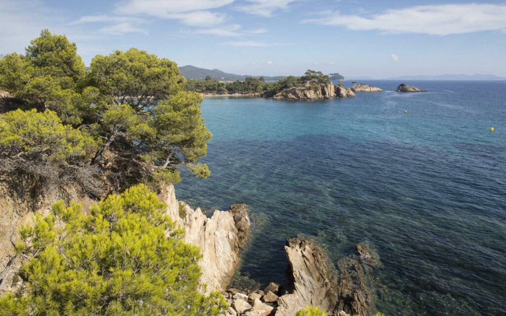 La Méditerranée pourrait devenir une mer tropicale, s’inquiète le WWF