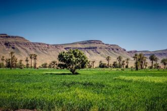 La sécheresse aggrave l'exode rural, seule solution pour les plus pauvres face à la pénurie d'eau