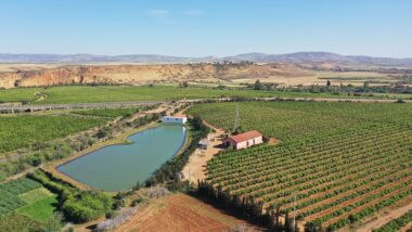 Sadiki : le Maroc compte doubler la production agricole tout en utilisant moins d’eau