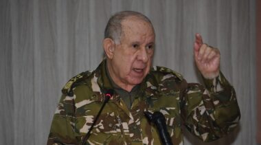 Algérie: Quels sont les ressorts de la visite russe du général Saïd Chengriha ?