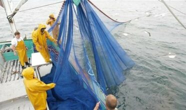 Fermeture de plusieurs zones à la pêcherie des petits pélagiques en janvier 2023 (ministère)