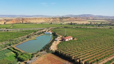 SIAM. La recherche de l’INRA au secours de l’agriculture en manque d’eau