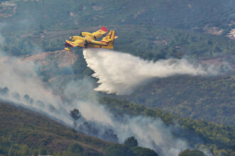 Chefchaouen: 725 ha de forêt ravagés par le feu, 4 Canadairs mobilisés