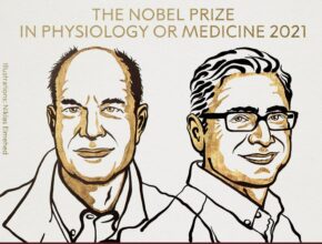 Le prix Nobel de médecine décerné aux Américains David Julius et Ardem Patapoutian
