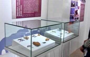 Rabat : le Chellah expose les ornements découverts dans la grotte de Bizmoune