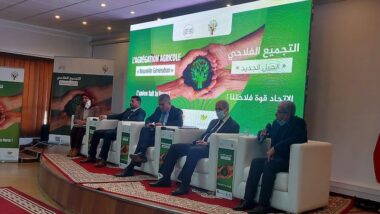 Sadiki promet d'accélérer l'agrégation agricole