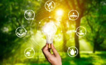 Énergies renouvelables : la start-up Greensleet signe avec l'espagnol Mercados Aries International