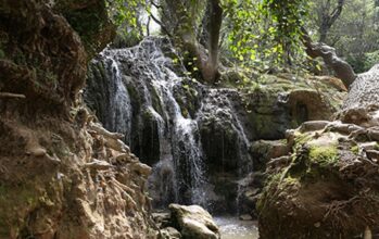 64 MDH pour l’aménagement du site écologique de Val d’Ifrane