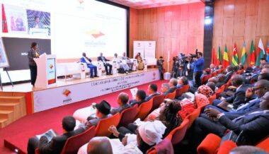 Le Maroc élu président du bureau exécutif de l’Union africaine de la mutualité
