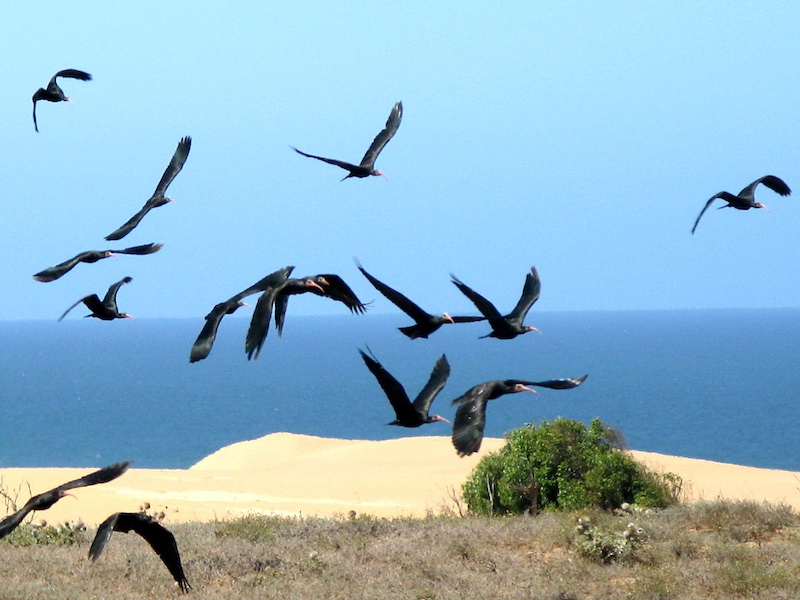 Agadir. Au pays du soleil éternel