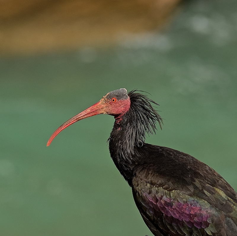 Agadir. Au pays du soleil éternel