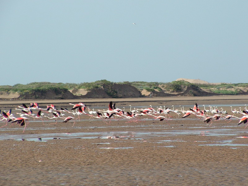 Agadir. Au pays du soleil éternel