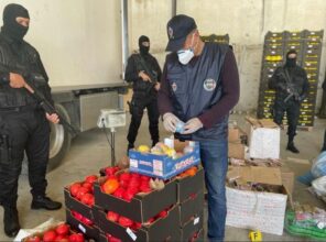 Saisie record de drogues à Tanger : 31 tonnes de chira
