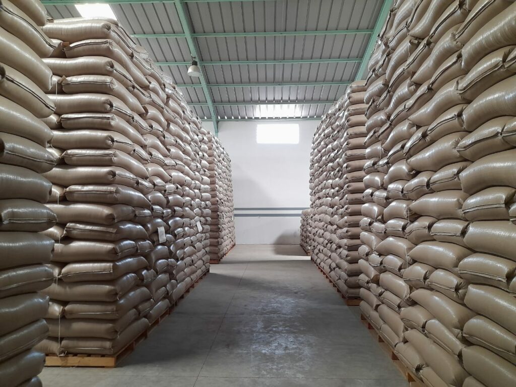 Les unités de multiplication de semences, rempart aux conditions climatiques extrêmes