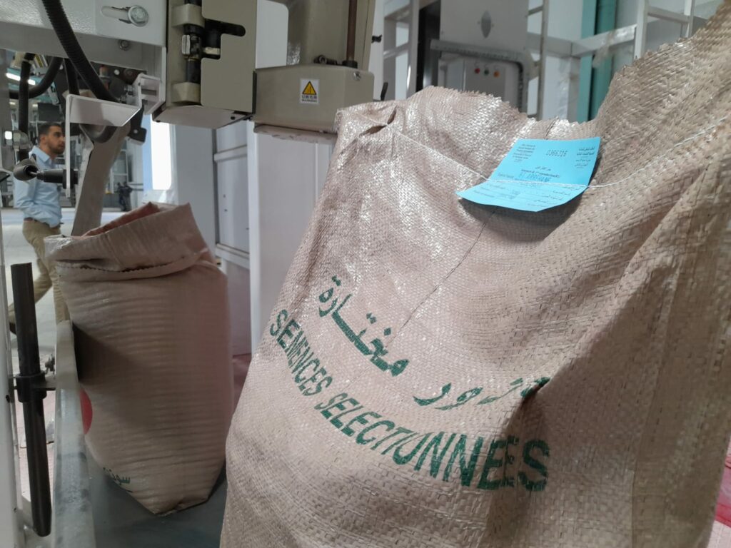 Les unités de multiplication de semences, rempart aux conditions climatiques extrêmes