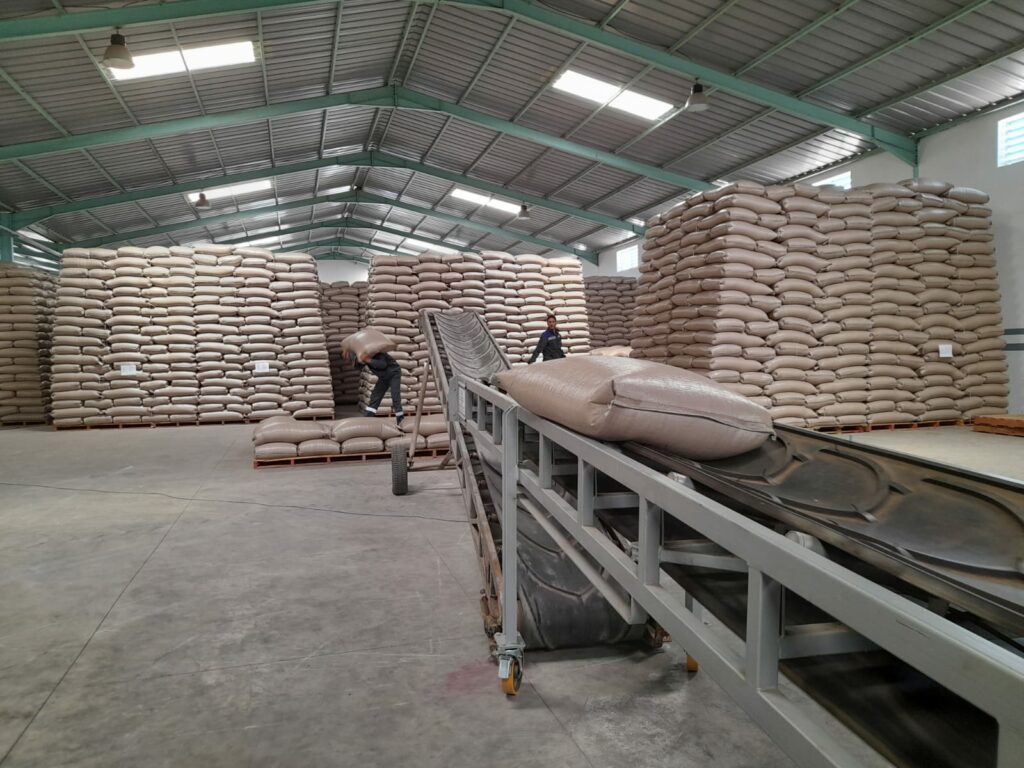 Les unités de multiplication de semences, rempart aux conditions climatiques extrêmes