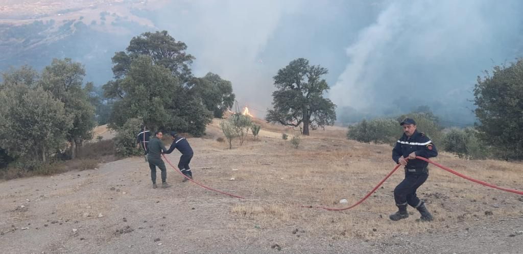 Feux de forêts : En direct. La situation dans les cinq provinces touchées vendredi 15 juillet 2022