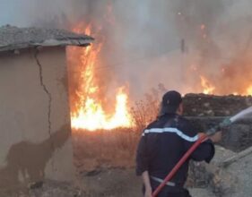 Feux de forêt : la CGEM lance un appel à la solidarité avec les habitants de Larache et des environs