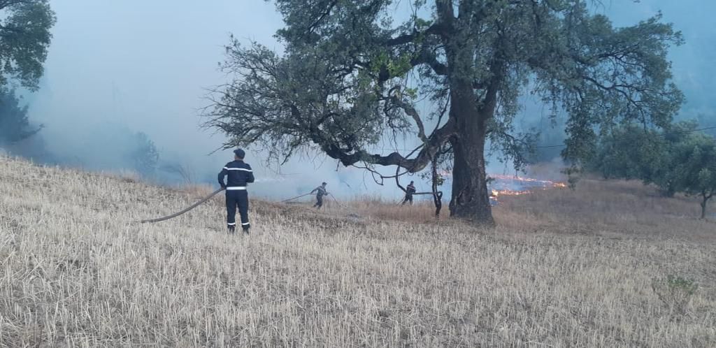 Feux de forêts : En direct. La situation dans les cinq provinces touchées vendredi 15 juillet 2022