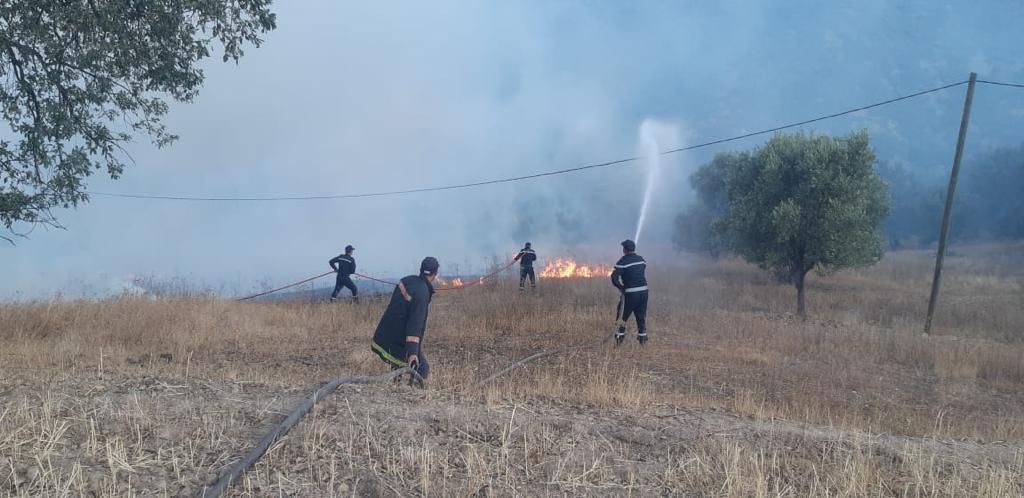Feux de forêts : En direct. La situation dans les cinq provinces touchées vendredi 15 juillet 2022