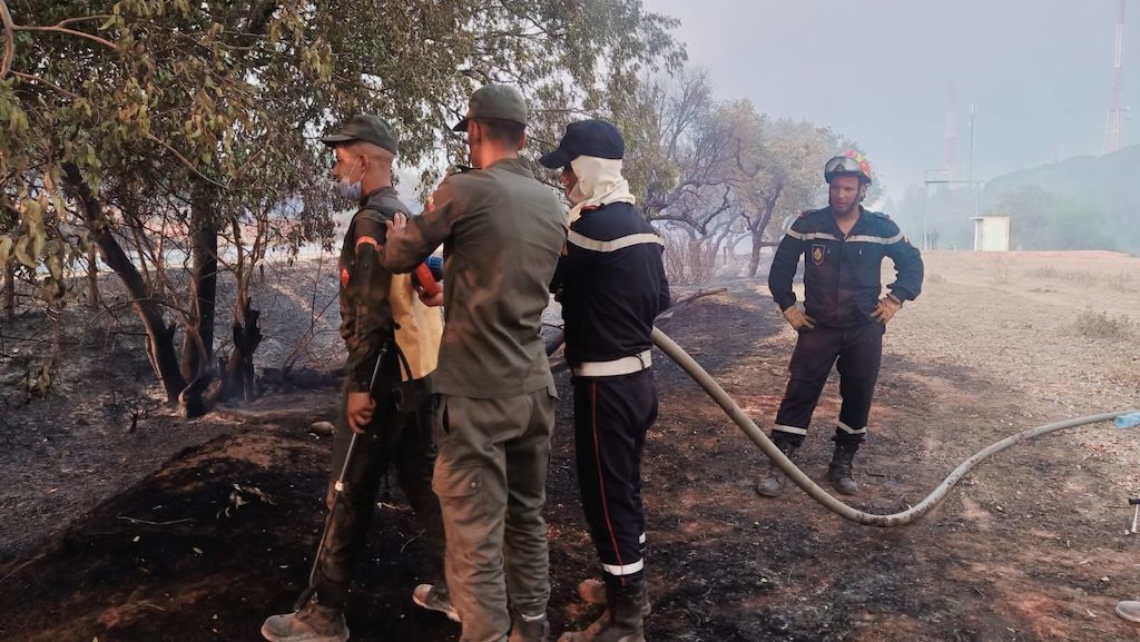 Feux de forêts : En direct. La situation dans les cinq provinces touchées vendredi 15 juillet 2022