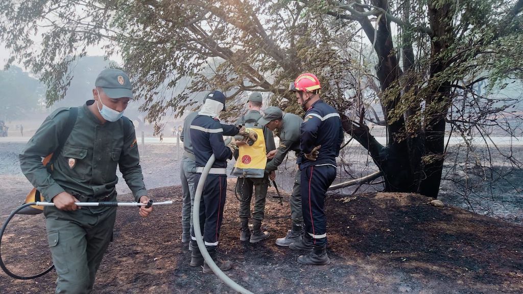 Feux de forêts : En direct. La situation dans les cinq provinces touchées vendredi 15 juillet 2022