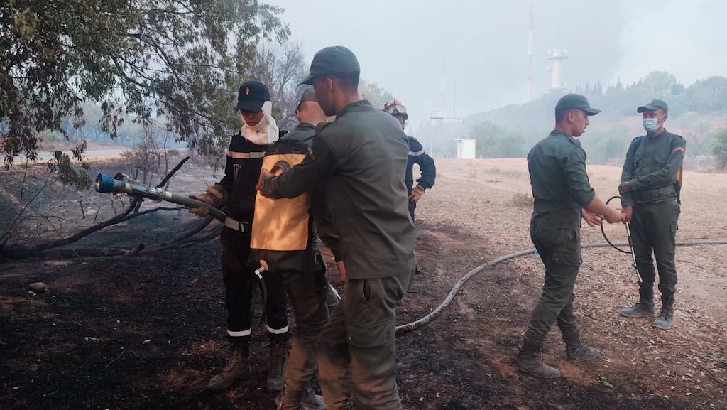 Feux de forêts : En direct. La situation dans les cinq provinces touchées vendredi 15 juillet 2022