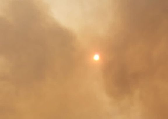 Feux de forêts : En direct. La situation dans les cinq provinces touchées vendredi 15 juillet 2022