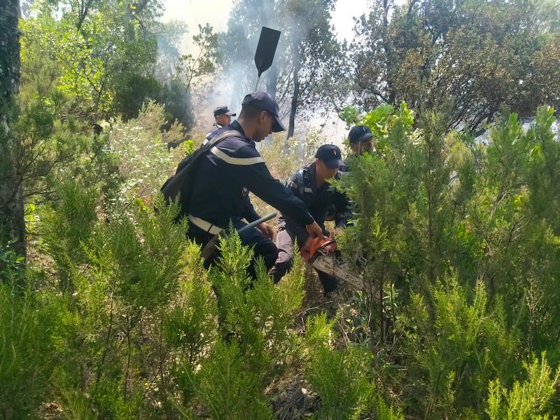 Feux de forêts : En direct. La situation dans les cinq provinces touchées vendredi 15 juillet 2022