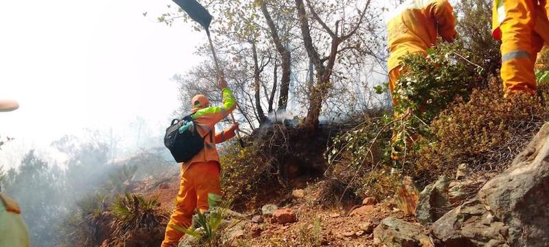 Feux de forêts : En direct. La situation dans les cinq provinces touchées vendredi 15 juillet 2022