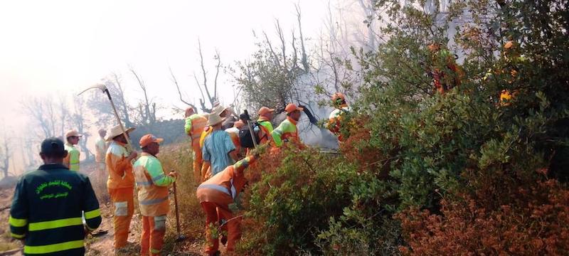 Feux de forêts : En direct. La situation dans les cinq provinces touchées vendredi 15 juillet 2022