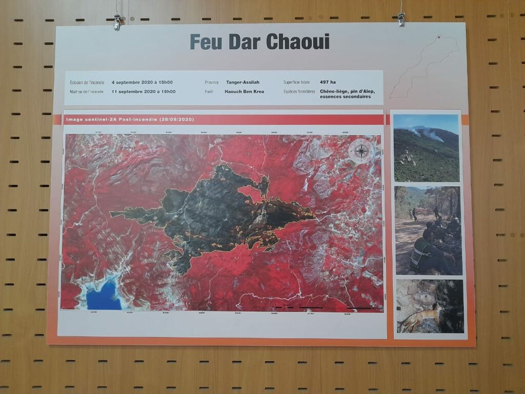 Reportage. Au cœur du Centre national de gestion des feux de forêt à Rabat, en pleine lutte contre les incendies