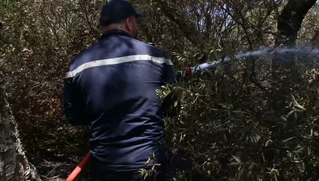 Feux de forêts : En direct. La situation dans les cinq provinces touchées vendredi 15 juillet 2022