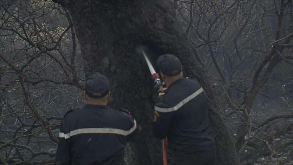 Feux de forêts : En direct. La situation dans les cinq provinces touchées vendredi 15 juillet 2022
